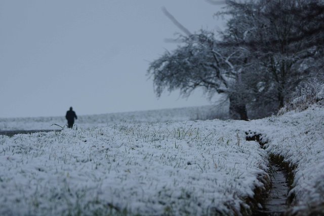 Spaziergänger im Neuschnee.