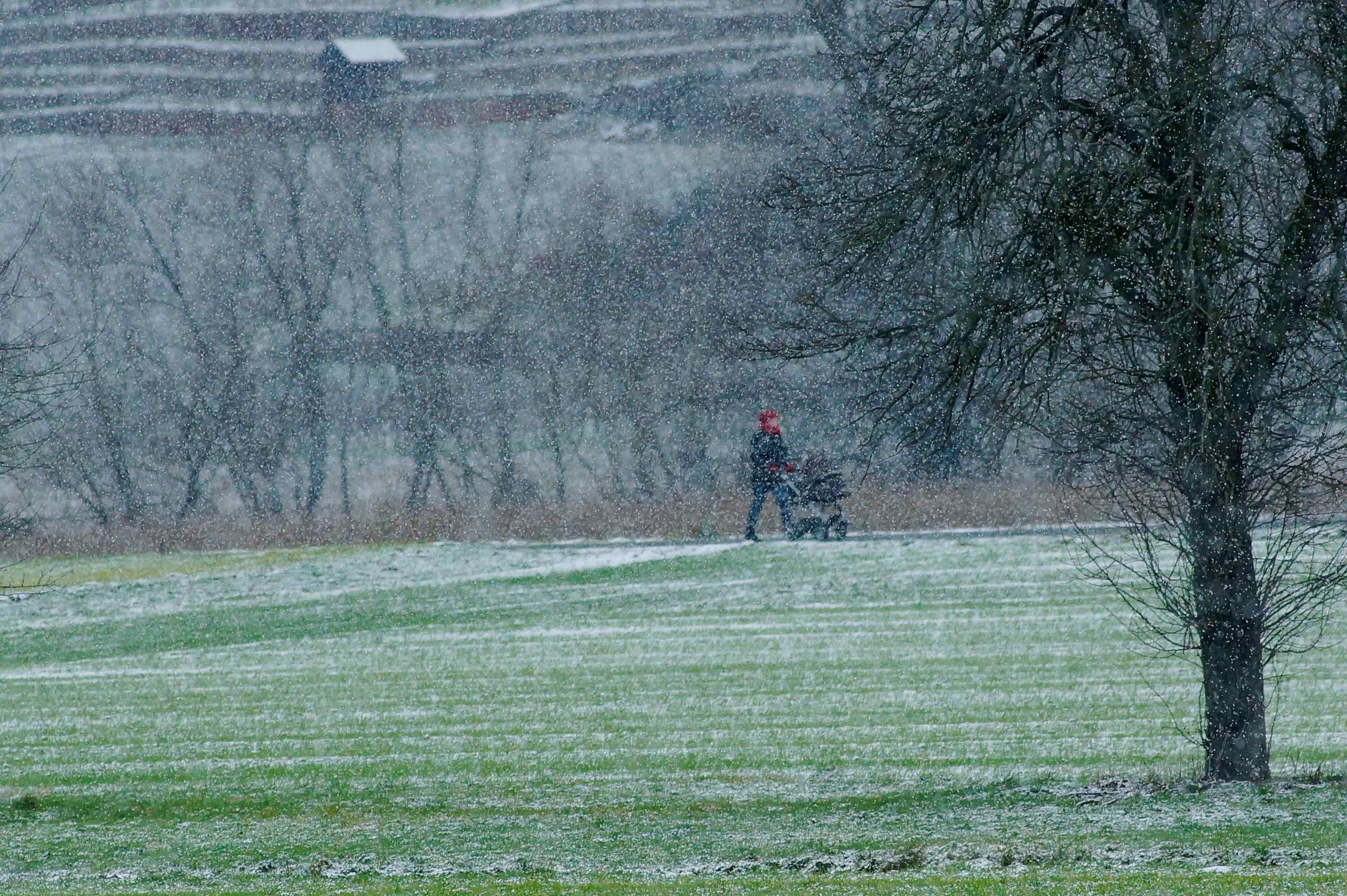 Schneeschauer im Maintal bei Kleinheubach.