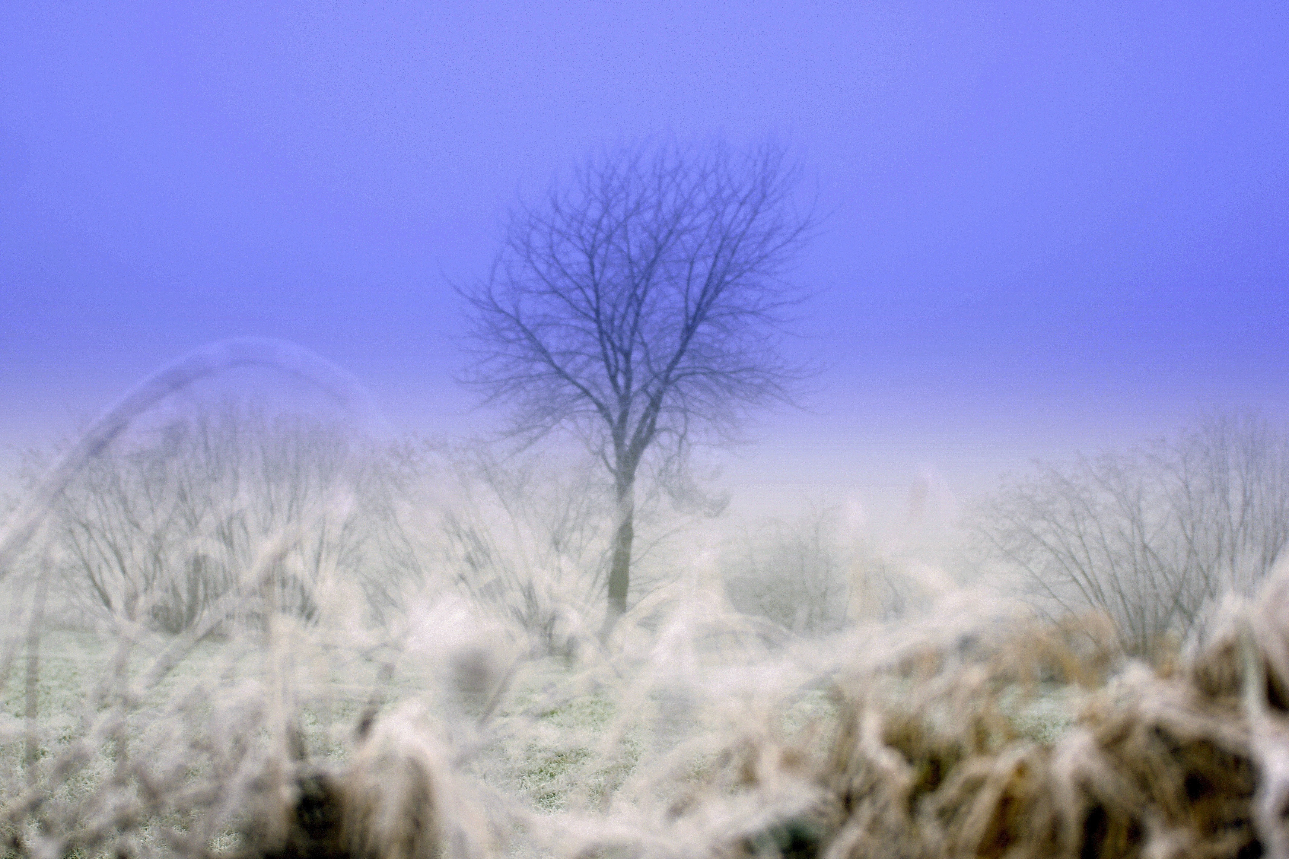 Winter - zwischen Tag und Traum.