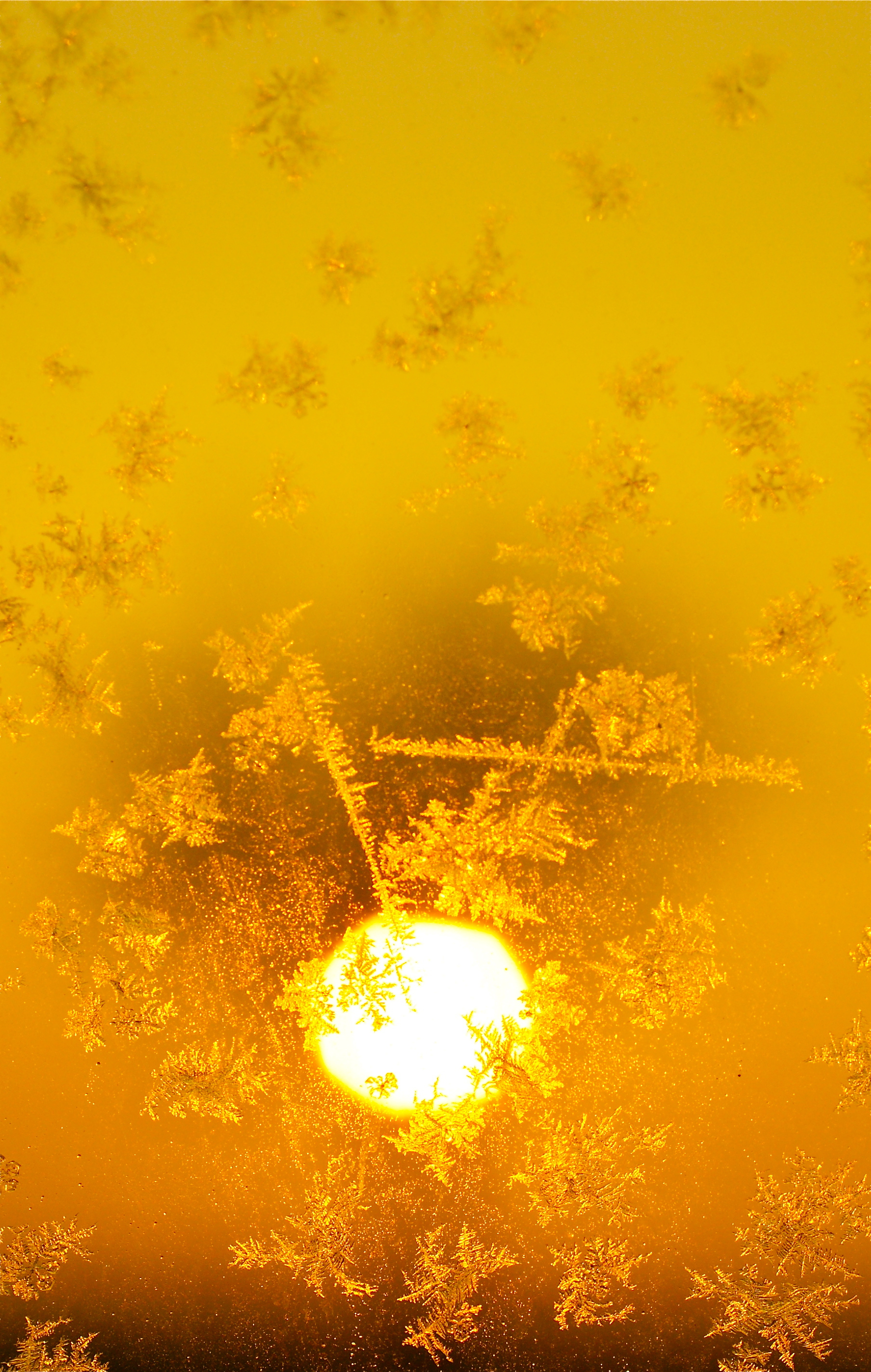Eisblumen am Fenster mit aufgehender Wintersonne.