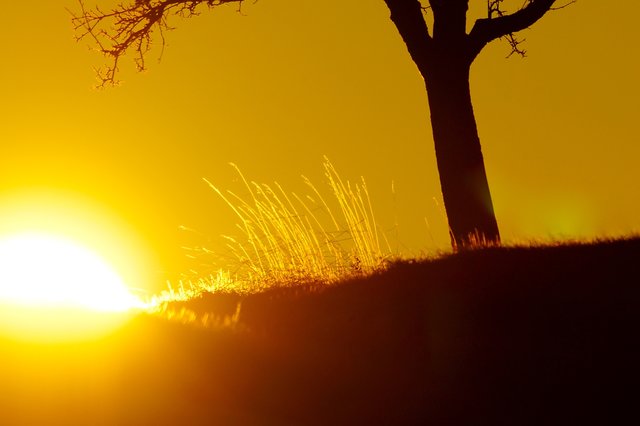 Seltene Februarsonne.