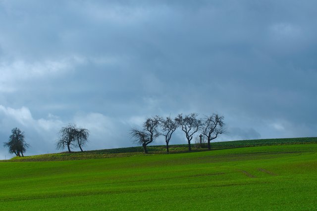 Odenwald-Landschaft mit Kruzifix-Flurdenkmal am Aschermittwoch 2016 bei Eichenbühl-Windischbuchen.