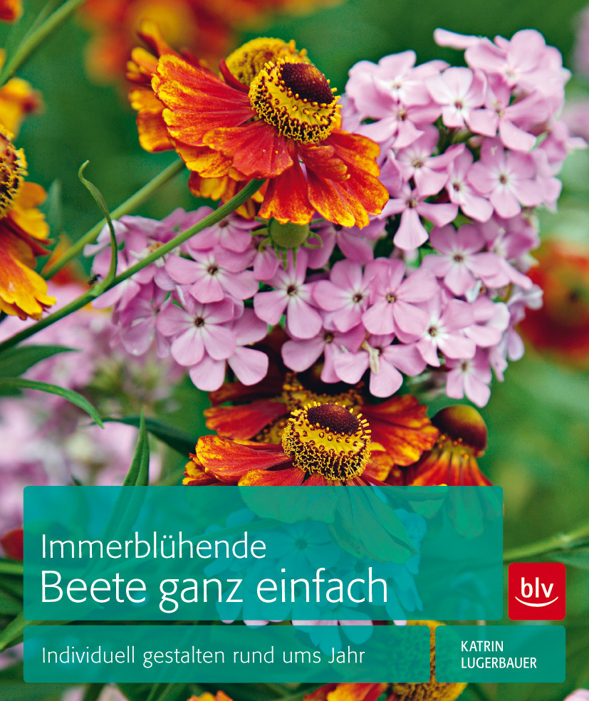 Rund ums Jahr mit Stauden attraktive Beete gestalten
