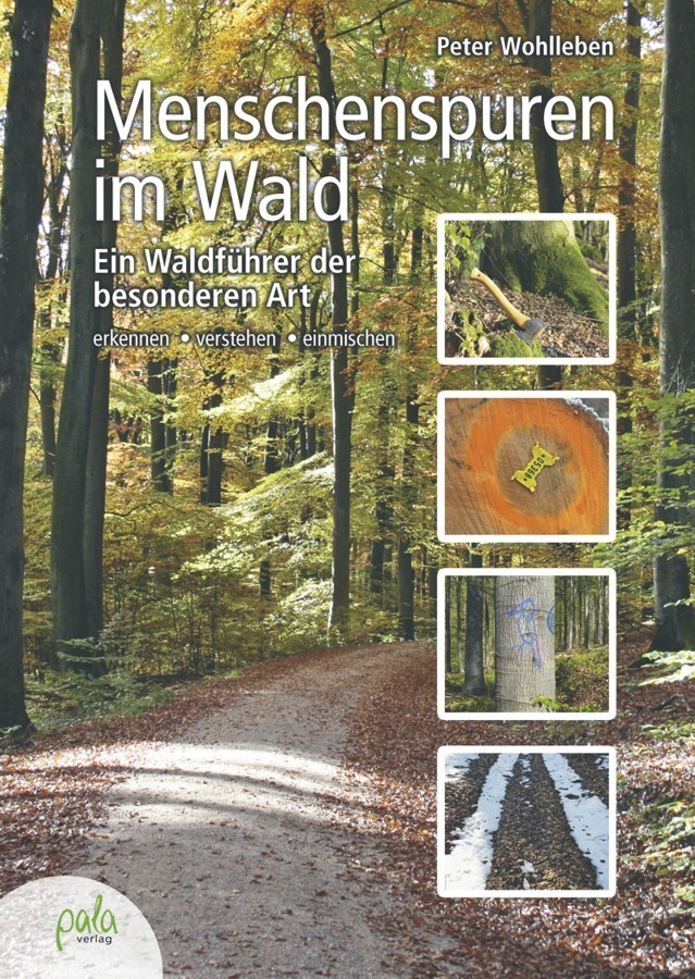 Peter Wohlleben macht sich auf die Suche nach Menschenspuren