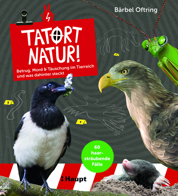 Ein Mitmachbuch der etwas anderen Art