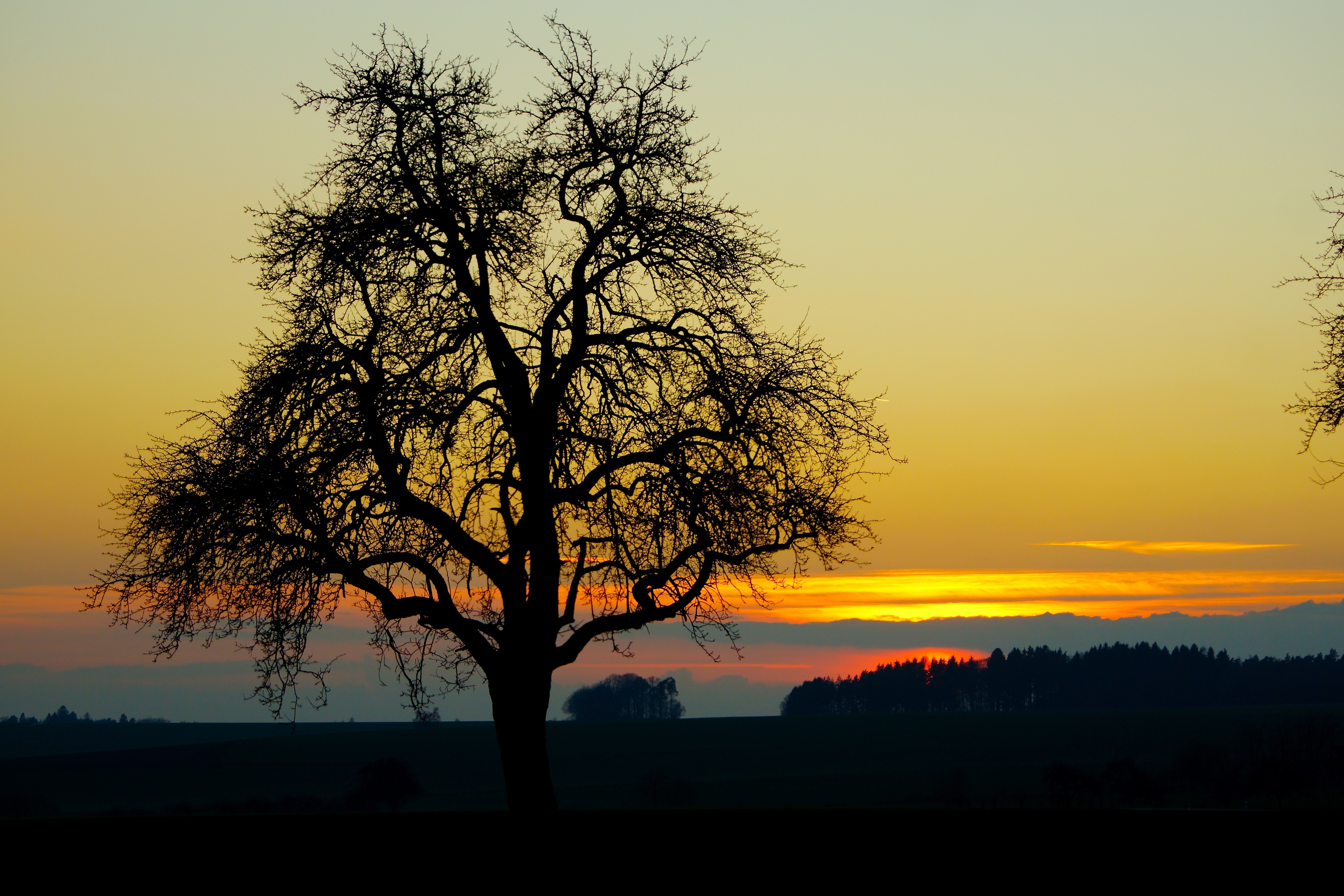 März-Abend bei Miltenberg-Wenschdorf.