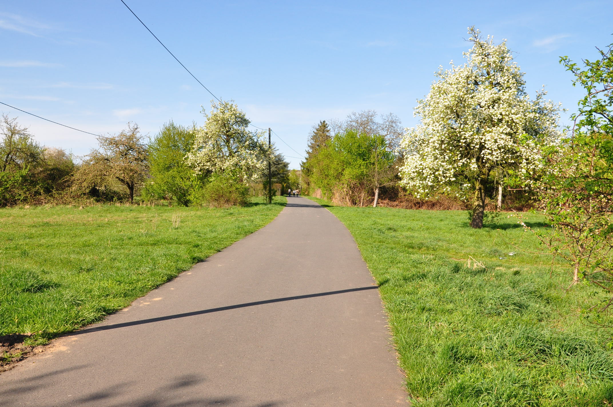 Wann gehts los am Anwandeweg?