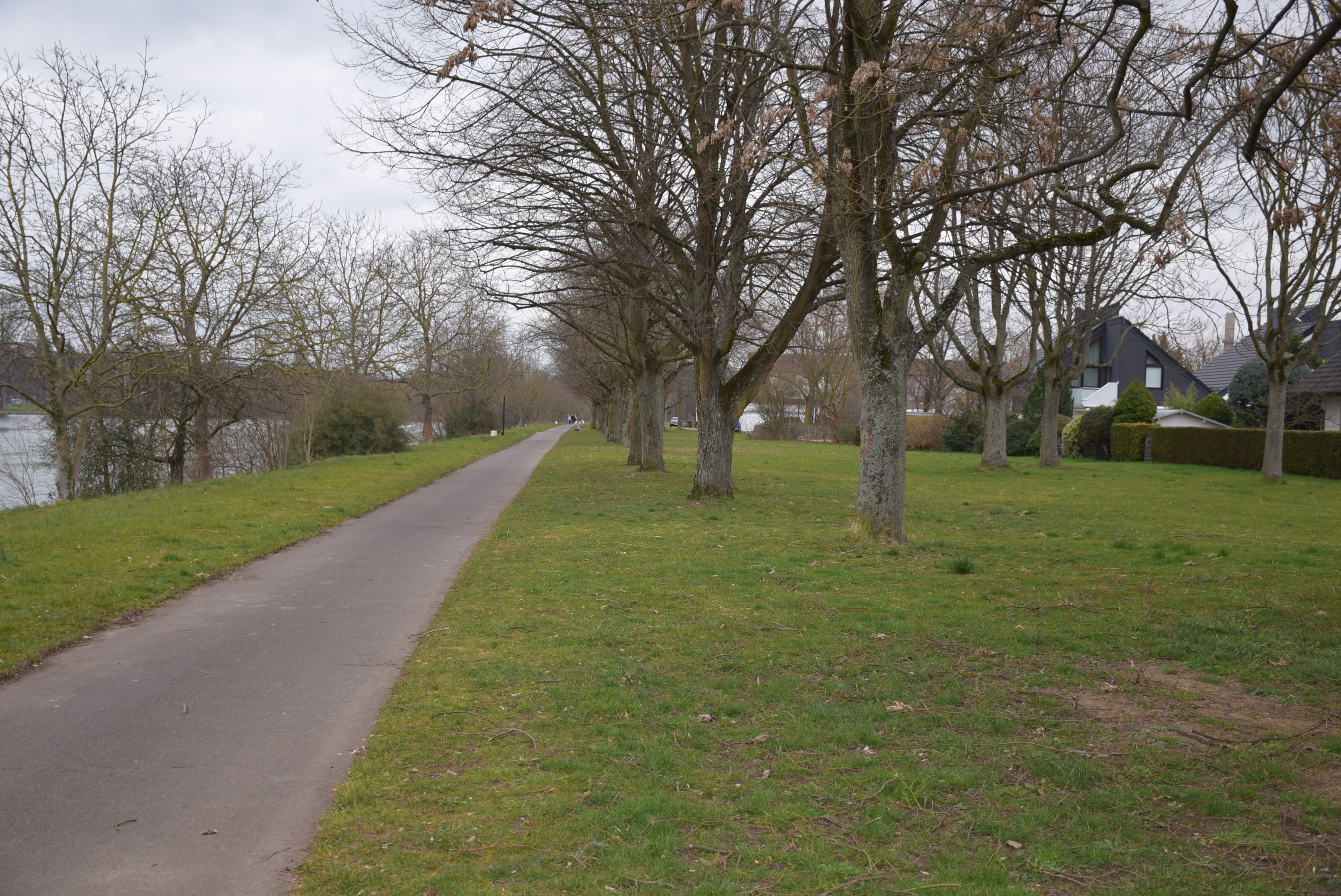 Der Rad und Fußweg am Main ist ohne Beleuchtung.