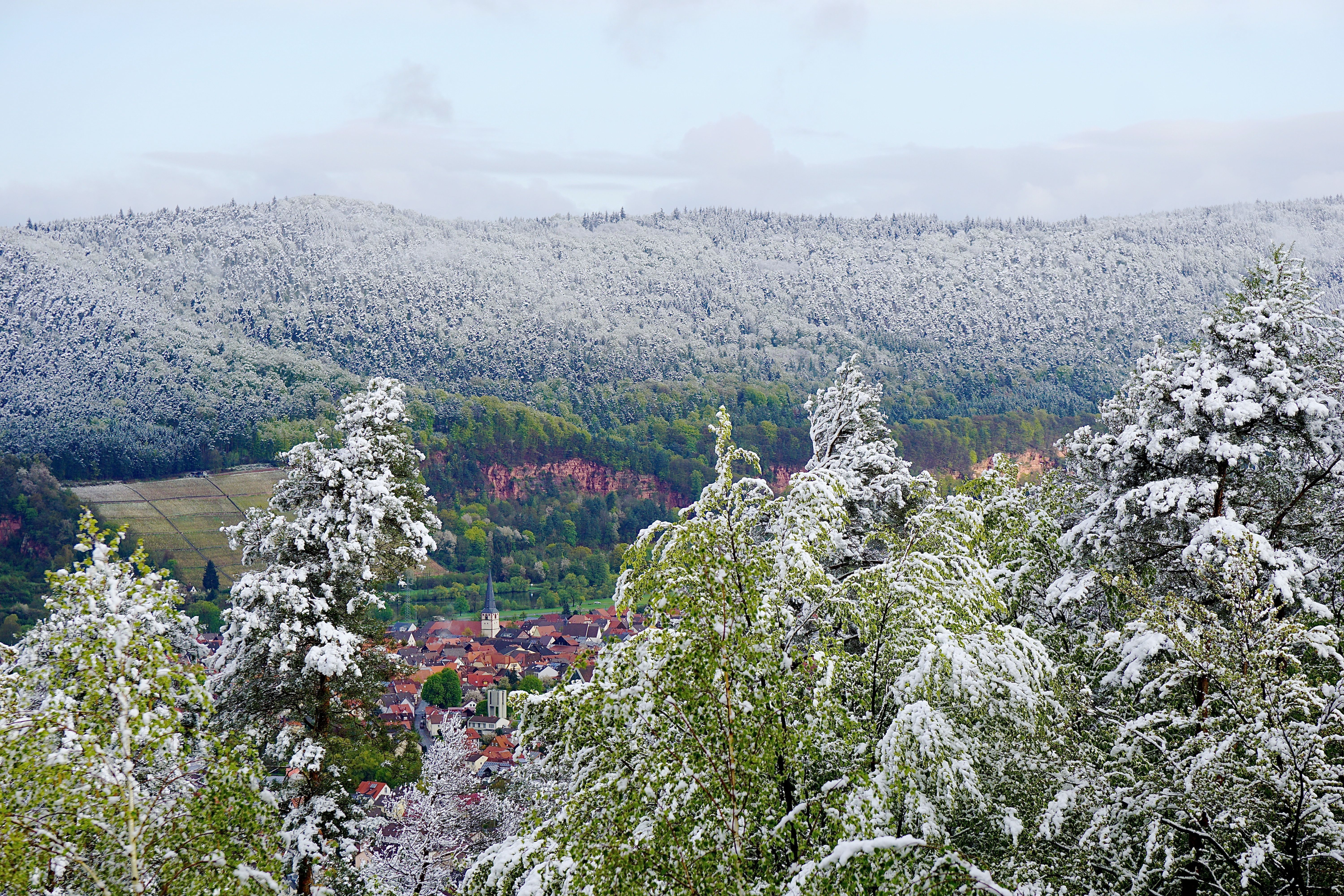 Blick vom Sommerberg an der Wenschdorfer Steige in Richtung Bürgstadt.