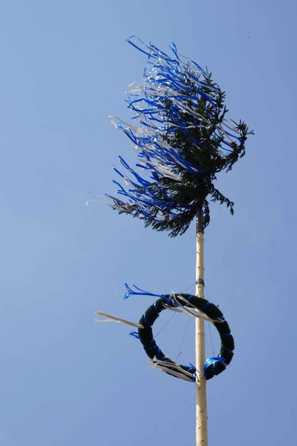 Maibaum in Eichenbühl-Riedern.
