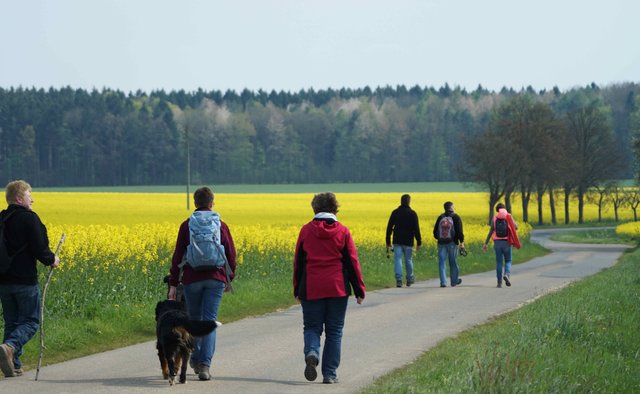 Odenwald-Wanderer.