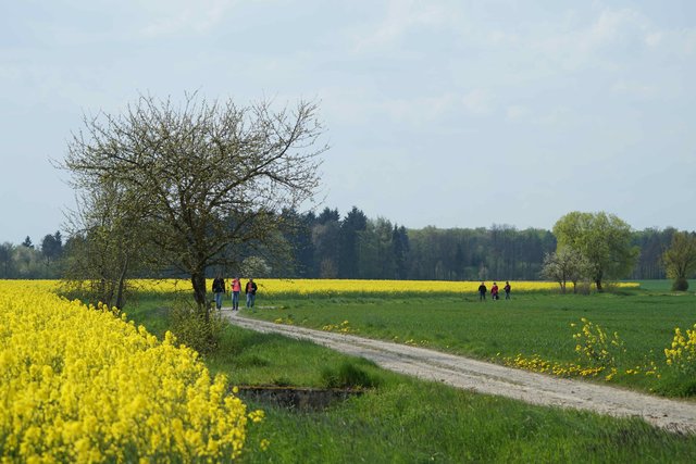 Mai-Ausffügler im Odenwald.