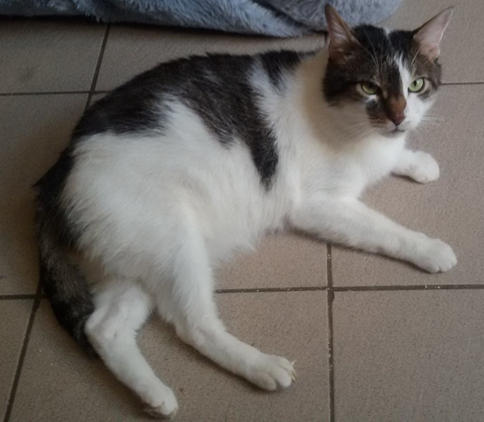 Hello I`m sweet Oskar
