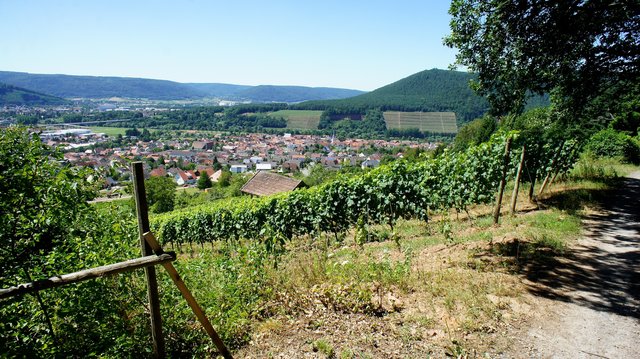 Blick auf Bürgstadt und das Maintal bei Miltenberg.