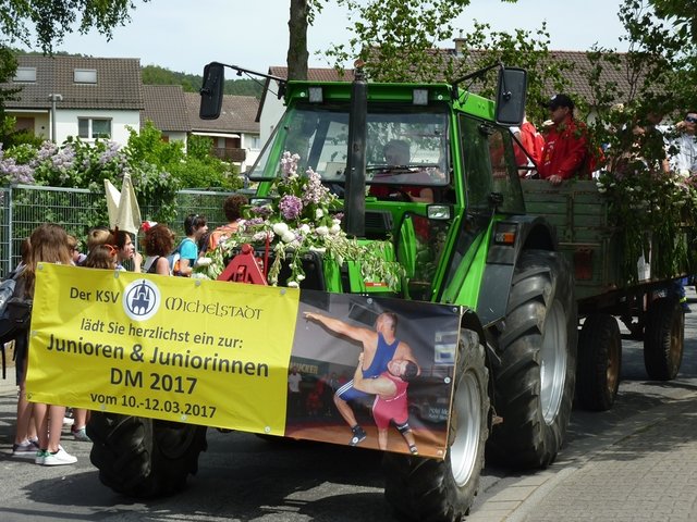 Blumenkorso Bienenmarkt Michelstadt 22. Mai 2016