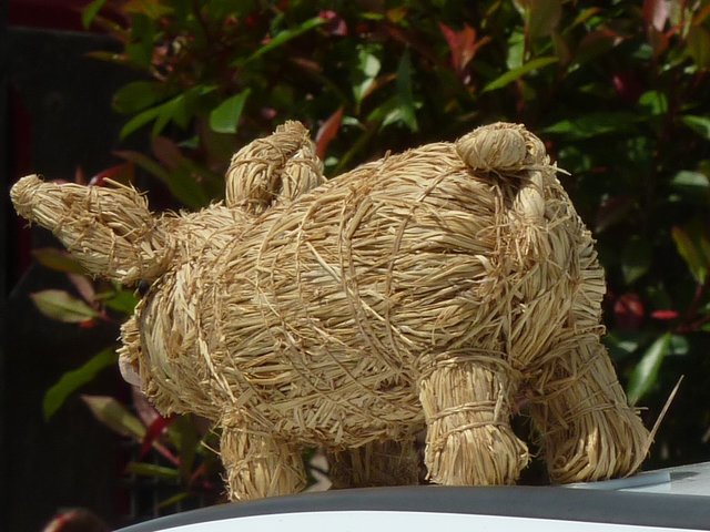 Blumenkorso Bienenmarkt Michelstadt 22. Mai 2016