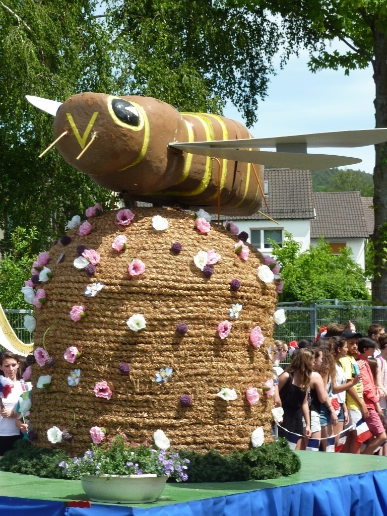 Blumenkorso Bienenmarkt Michelstadt 22. Mai 2016