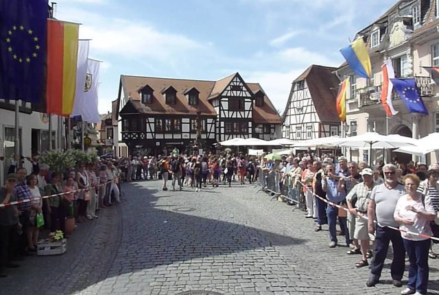 Blumenkorso Bienenmarkt Michelstadt 22. Mai 2016