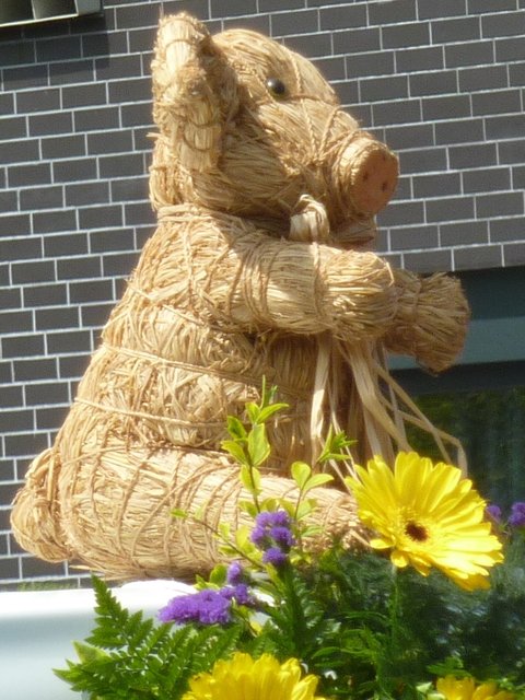 Blumenkorso Bienenmarkt Michelstadt 22. Mai 2016
