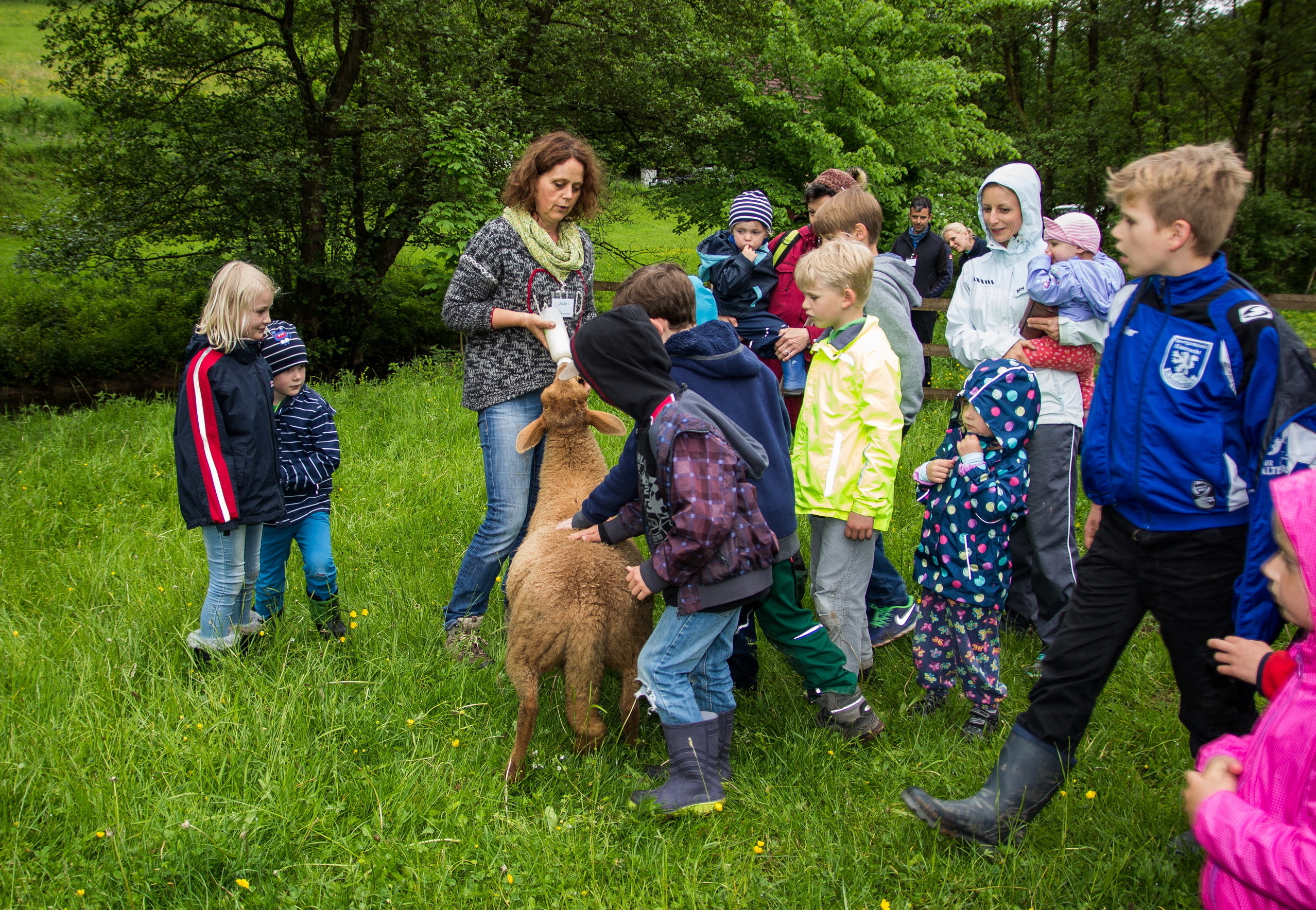 Marion Eschenbach mit Kindergruppe beim Füttern von Coburger Fuchsschaf "Brownie". Foto: Bianca Hein