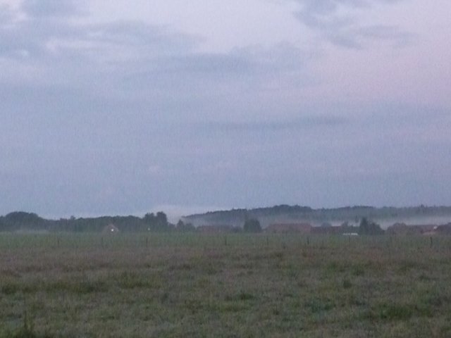 der Tag erwacht - Wenschdorf im Morgennebel