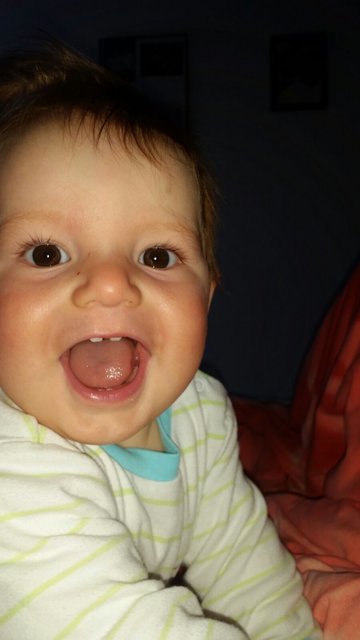 Tobias  30.07.2015