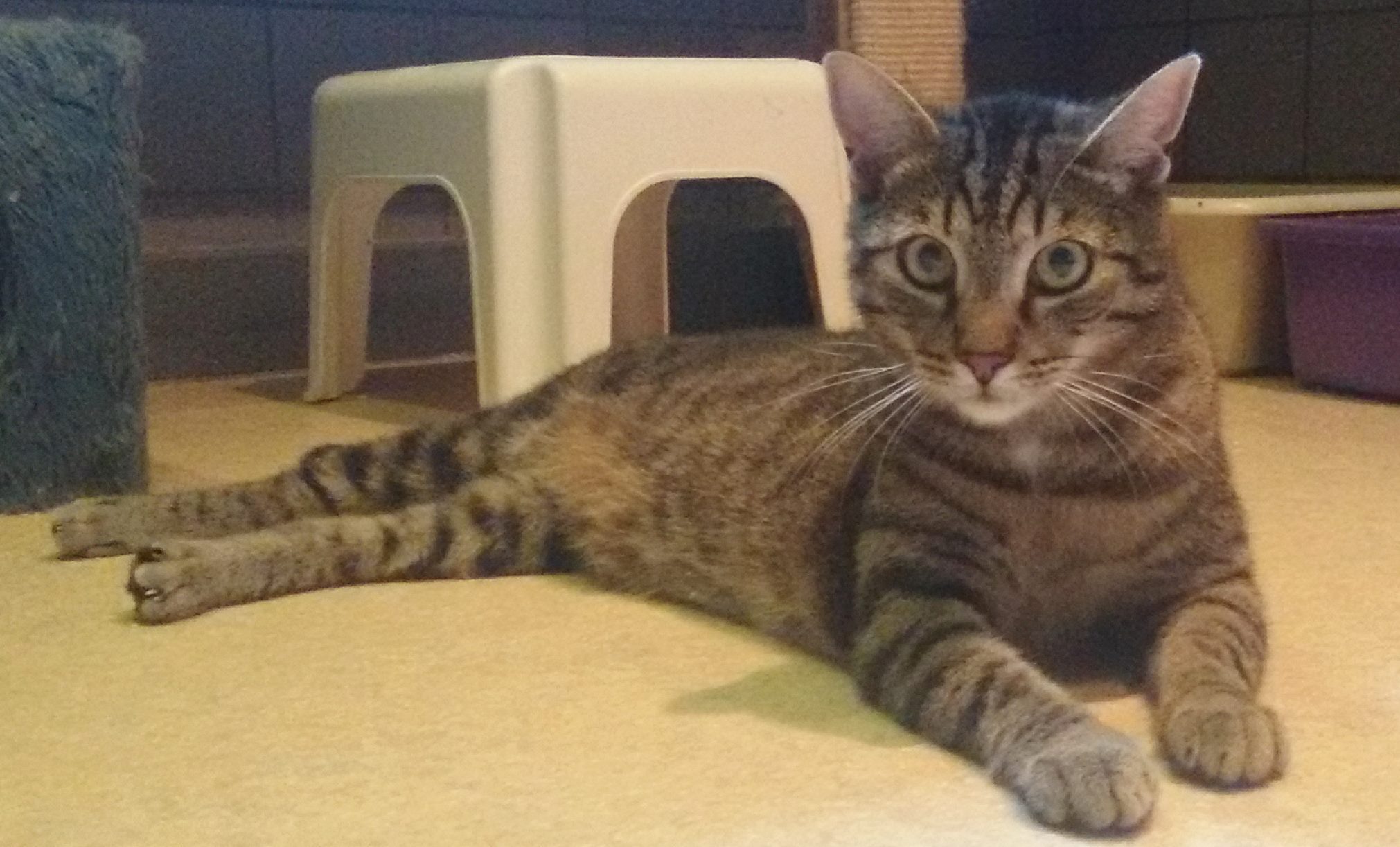 Janosch beim chillen...