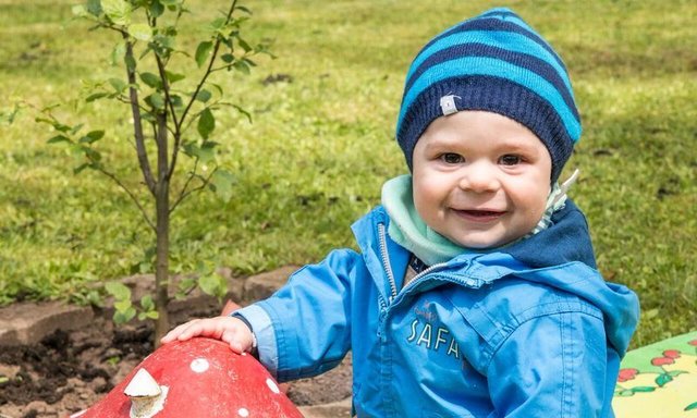 Fülöp 04.10.2015, Ein Tag im Garten