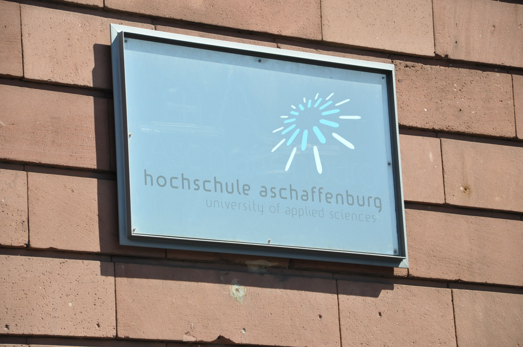 Wie stehen die Chancen für Bachelor?