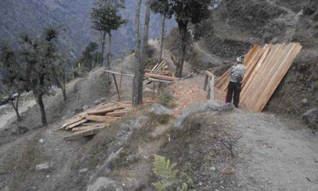 Wiederaufbau der Dorfschulen Jharlang, Puru und Lingjo im*District Dhading/Ganesh Himal/Nepal - Bauholzvorbereitung | Foto: Roman Müller