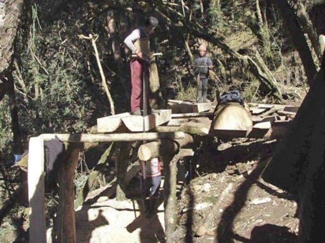 Wiederaufbau der Dorfschulen Jharlang, Puru und Lingjo im*District Dhading/Ganesh Himal/Nepal - Bauholzvorbereitung | Foto: Roman Müller