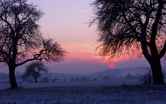 Wintersonne bei Wenschdorf.