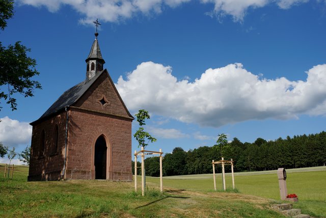 Der alte Baum steht nicht mehr. Aber zwei neue Bäume  sind schon gepflanzt.