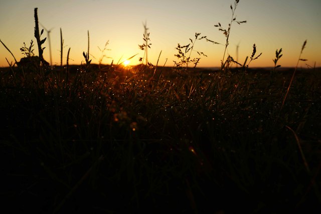Monbrunner Sommerabend-Szenerie.
