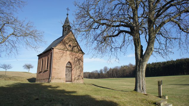 Alte Ansicht mit Baum.
