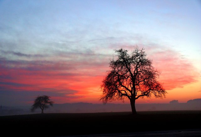 Abenddämmerung im Odenwald.