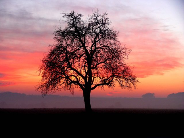 Abenddämmerung im Odenwald.