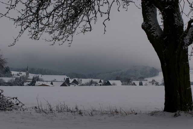 Land unter ... bei Wenschdorf, Landkreis Miltenberg - 23.12.2009, 13,30 h.