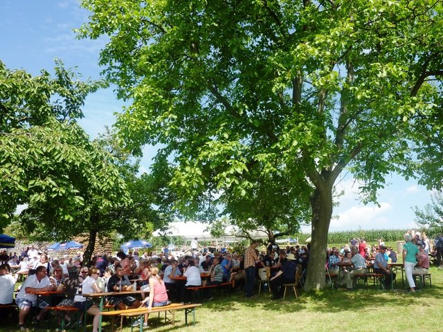 "Odenwälder Trachtenkapelle Wenschdorf-Monbrunn" beim Kapellenfest Monbrunn
