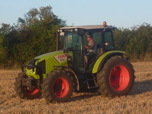Egal ob groß, ob klein, es darf jeder Bulldog ins Wenschdorfer Freiluftkino rein!