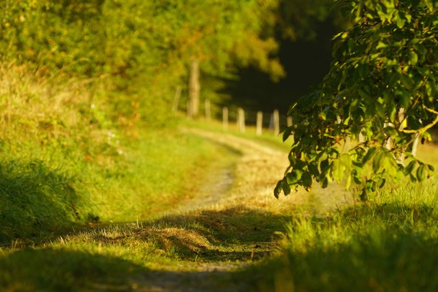 Der September ist der Mai des Herbstes