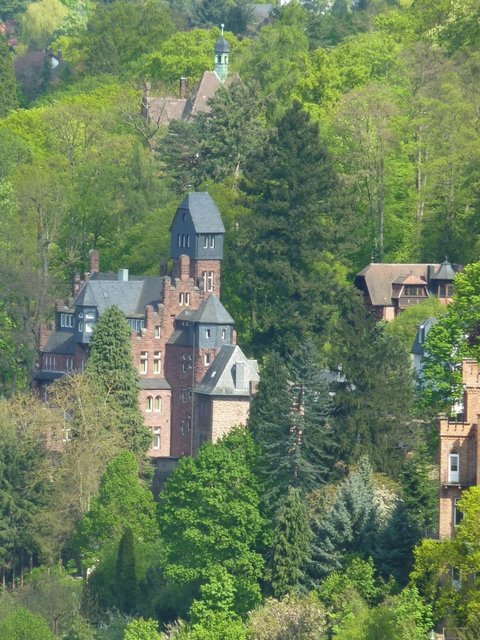 Bismarckweg - über den Dächern des "Schwarzviertels"