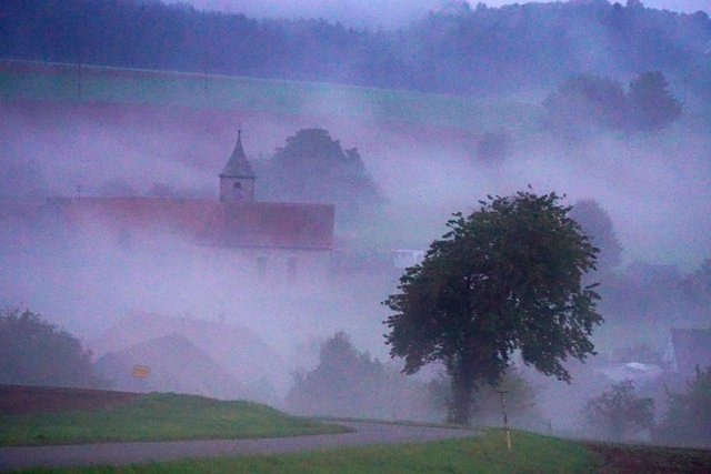 Nebellandschaft bei Amorbach-Reichartshausen am 3.10.2016.