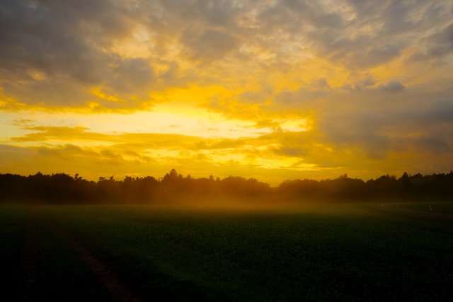 Einheits-Tag am frühen Morgen.