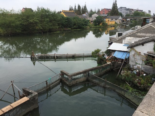 Das "Wasserdorf" Xitang rund 70 km südwestlich von Shanghai