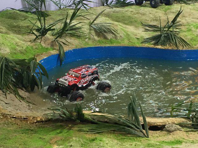 Ein ferngesteuertes Auto im Teich. Der Vortrieb erfolgt auch im Wasser über die Räder