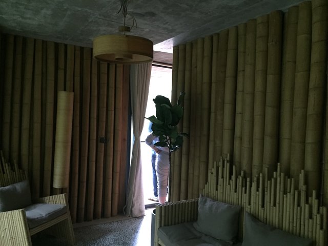 Das Musterhaus im Bambuswald