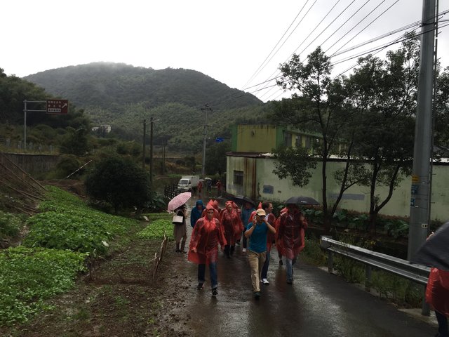 Die Reisegruppe auf dem Weg in den Bambuswald