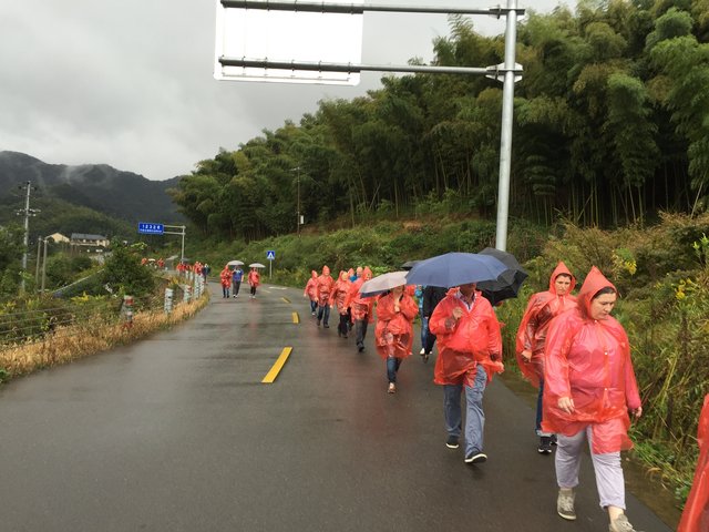 Die Reisegruppe auf dem Weg in den Bambuswald