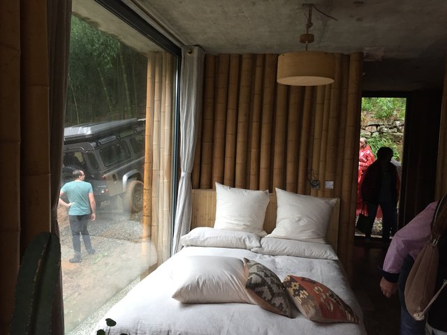 Das Musterhaus im Bambuswald